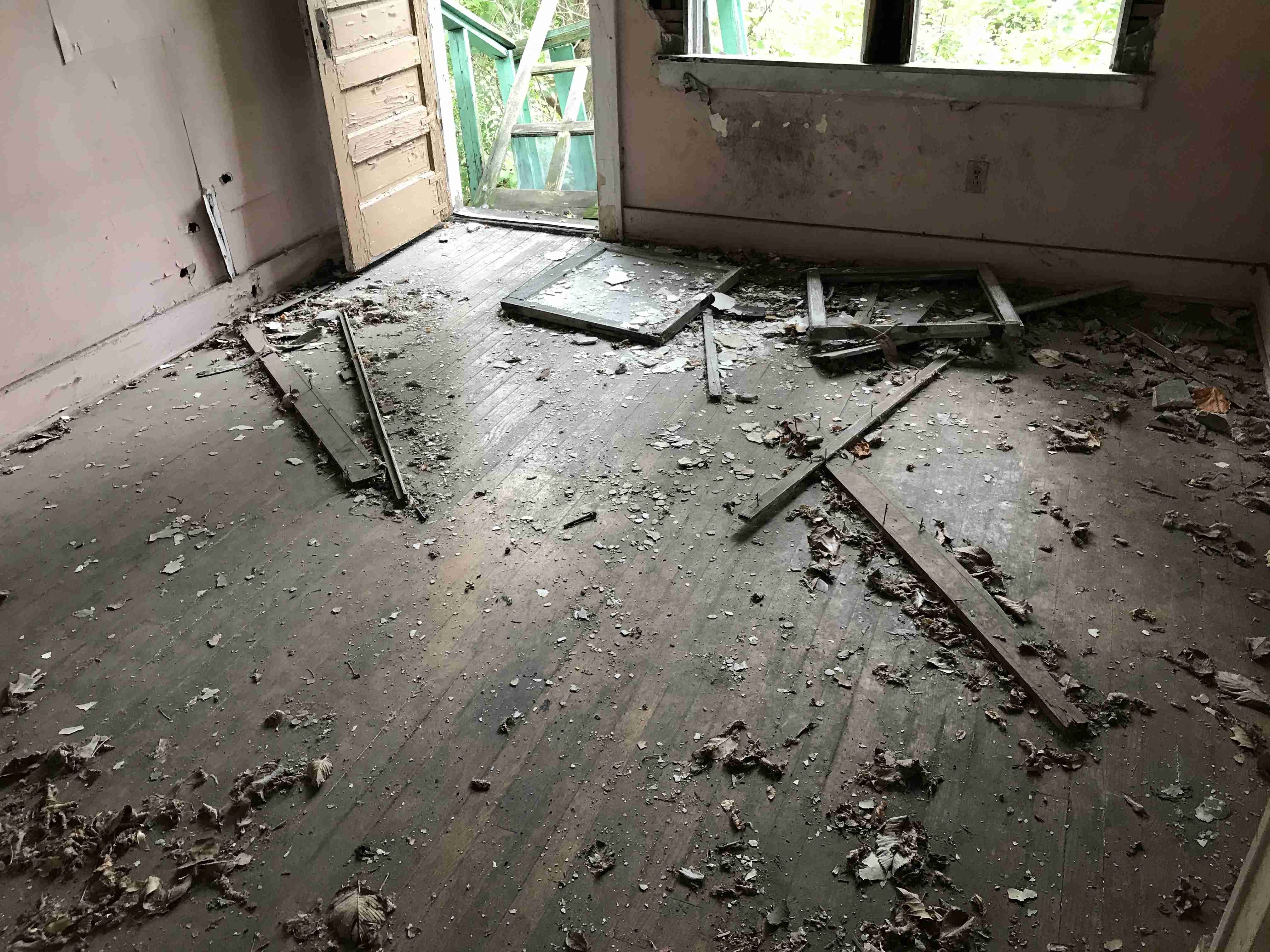 Photo Sep 10, 3 22 03 PM.jpg